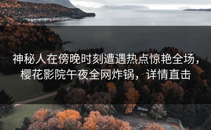 神秘人在傍晚时刻遭遇热点惊艳全场，樱花影院午夜全网炸锅，详情直击