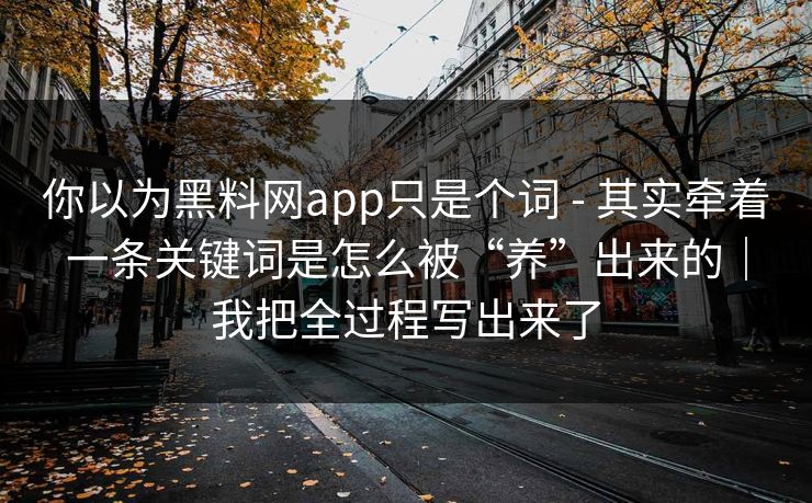 你以为黑料网app只是个词 - 其实牵着一条关键词是怎么被“养”出来的|我把全过程写出来了 你以为黑料网app只是个词 - 其实牵着一条关键词是怎么被“养”出来的|我把全过程写出来了